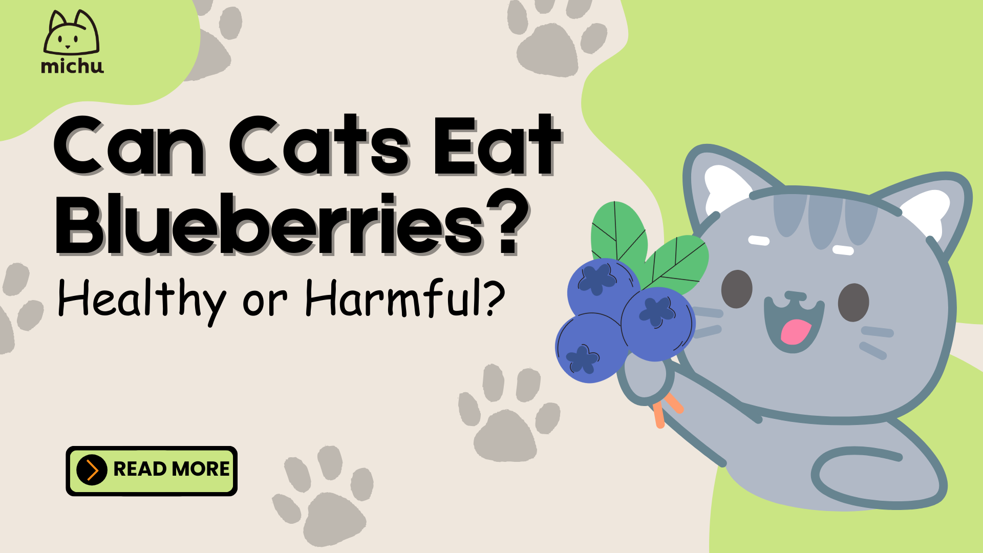 Cats have blueberries best sale