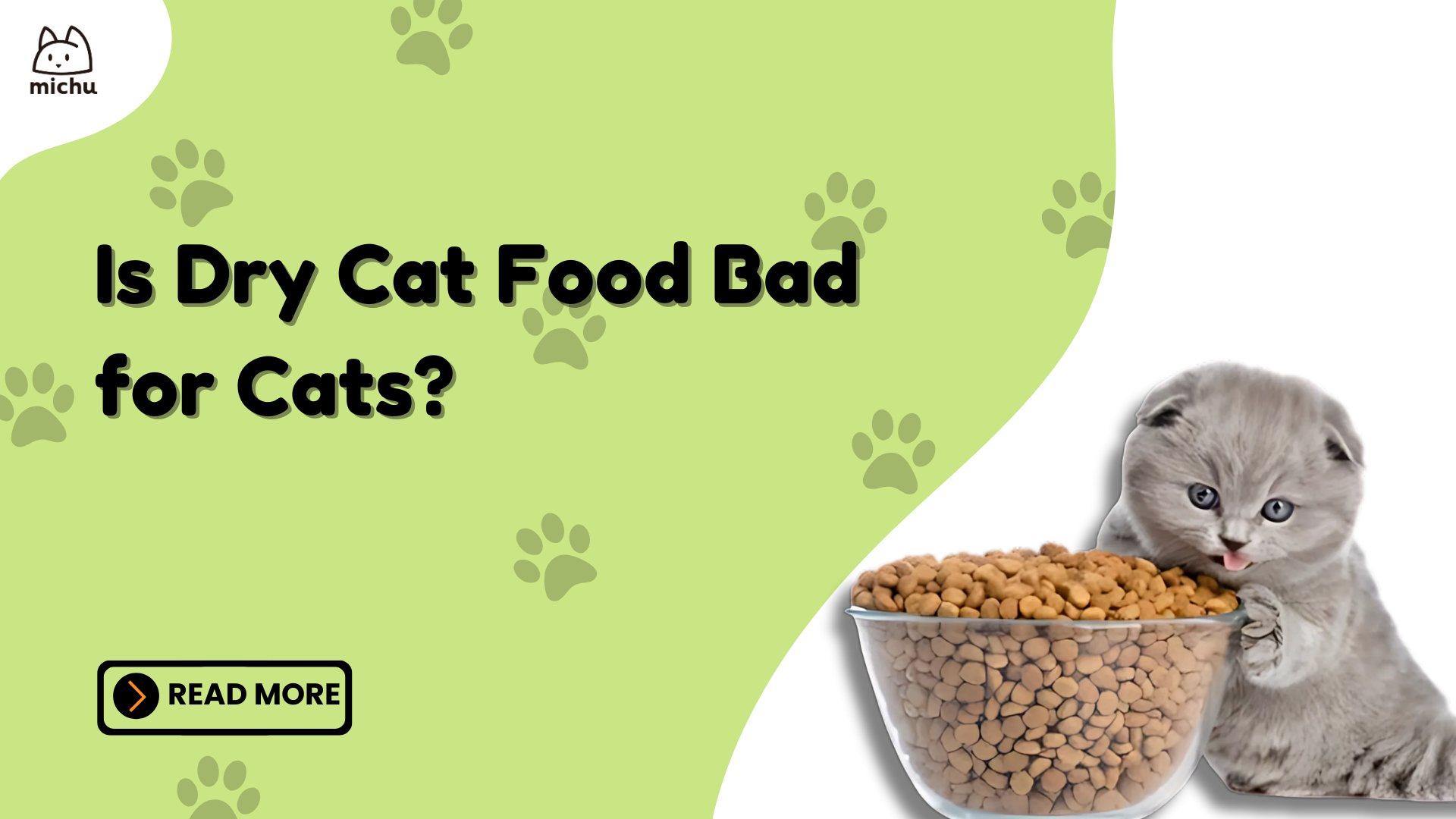 Is Dry Cat Food Bad for Cats Pros Cons Best Practices Michu Australia