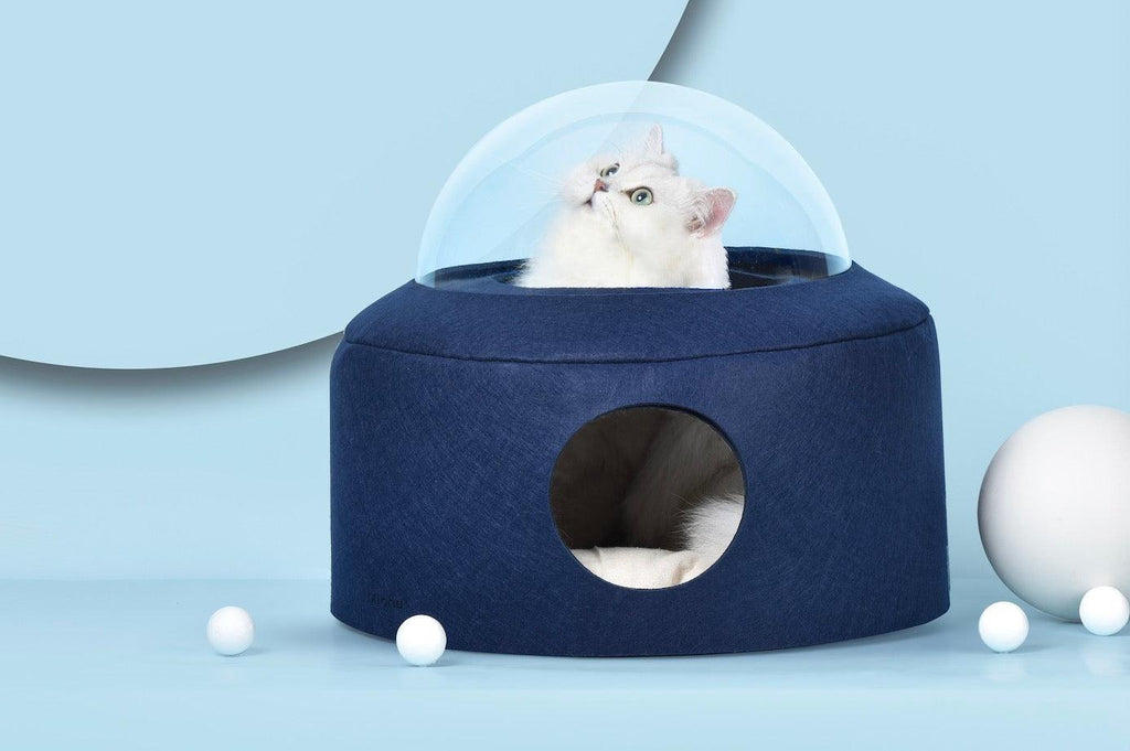 How to choose cat bed? - Michu Australia