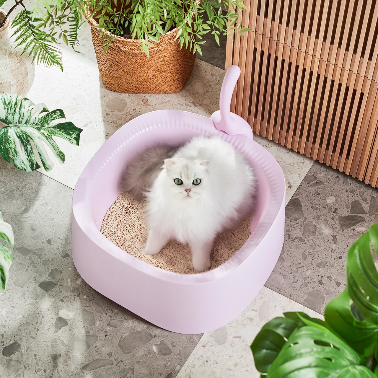Extra long cat litter box shop