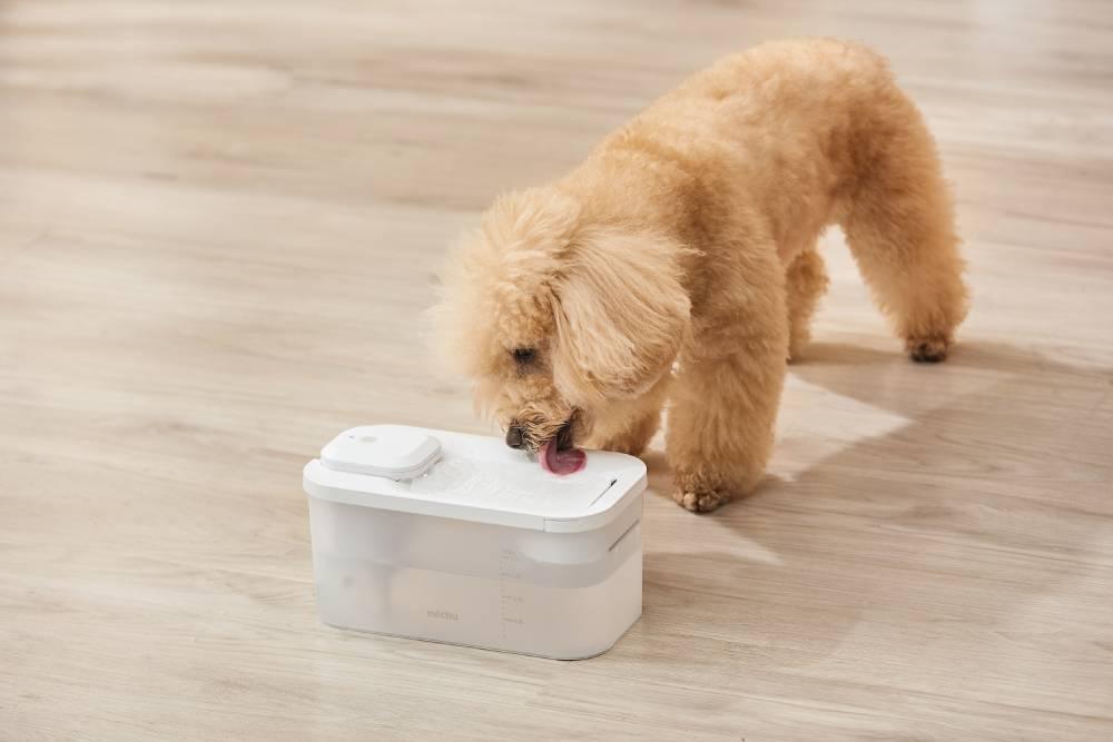 Michu Cordless & Rechargeable Battery Operated Automatic Pet Water Fountain, Wireless and USB Charging - Michu Australia