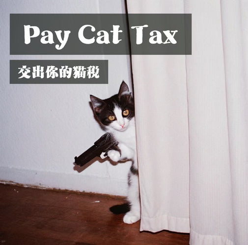 TikTok Refugees' Cat Tax