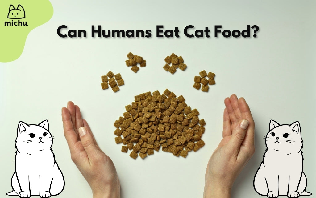 Can Humans Eat Cat Foods?