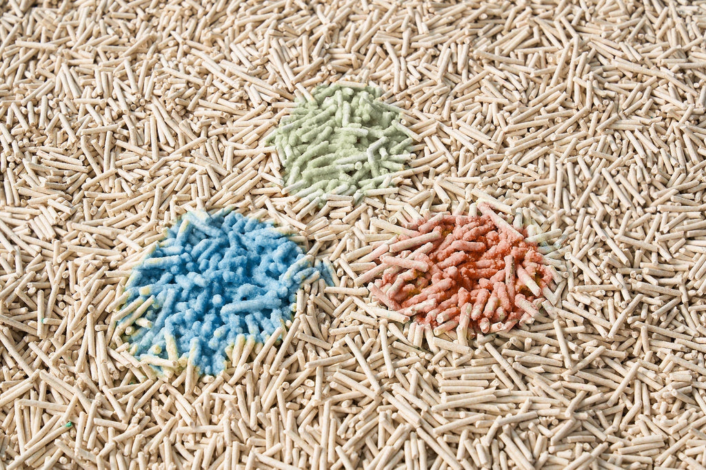 Why Monitoring Your Cat’s Health Starts at the Litter Box？