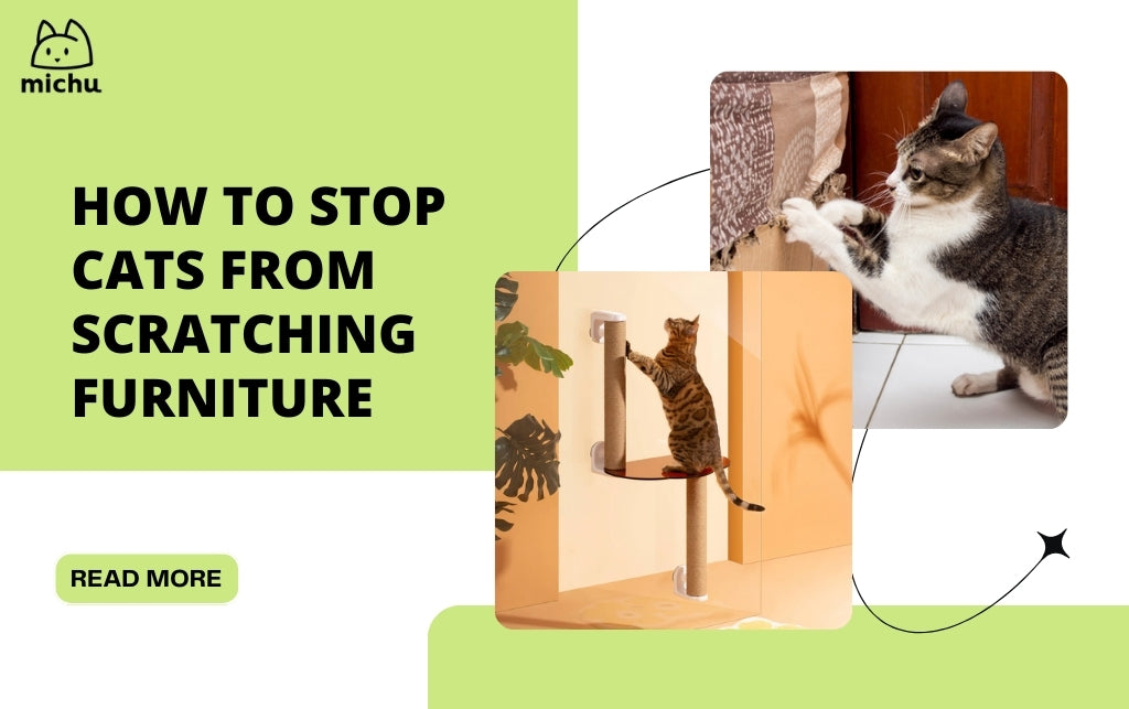 How to Stop Cats from Scratching Furniture