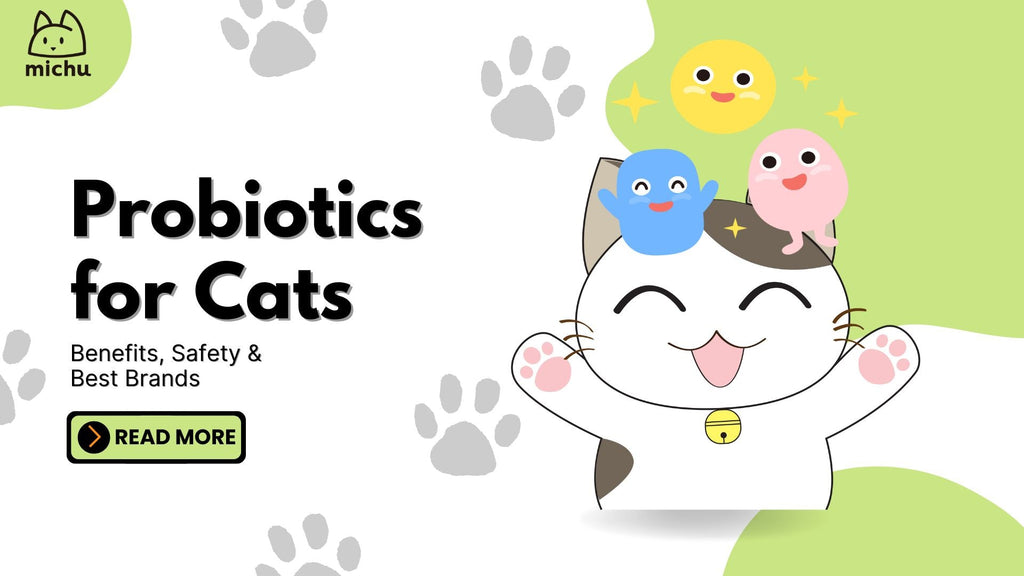 Probiotics for Cats: Benefits, Safety & Best Brands