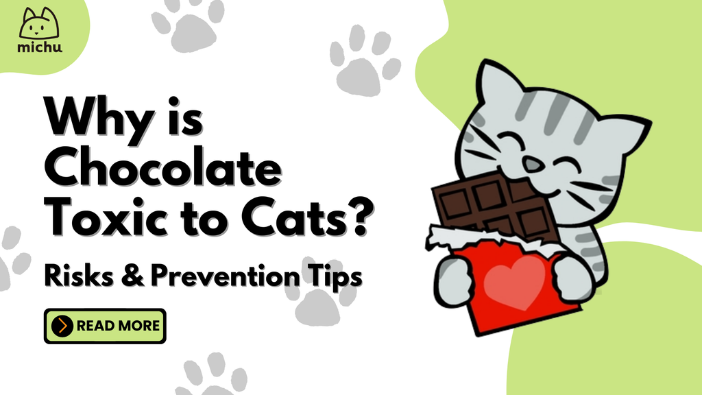 Why is Chocolate Toxic to Cats? Risks and Prevention Tips