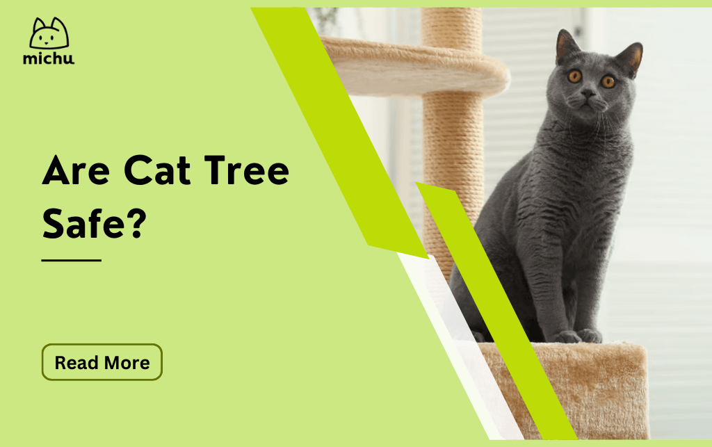 Are Cat Tree Safe? - Michu Australia