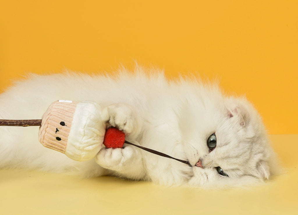 Silvervine for Cats: Benefits, Uses, and Safe Playtime Tips – Michu Australia