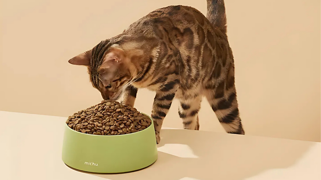 Is Dry Cat Food Bad for Cats? Understanding the Pros and Cons