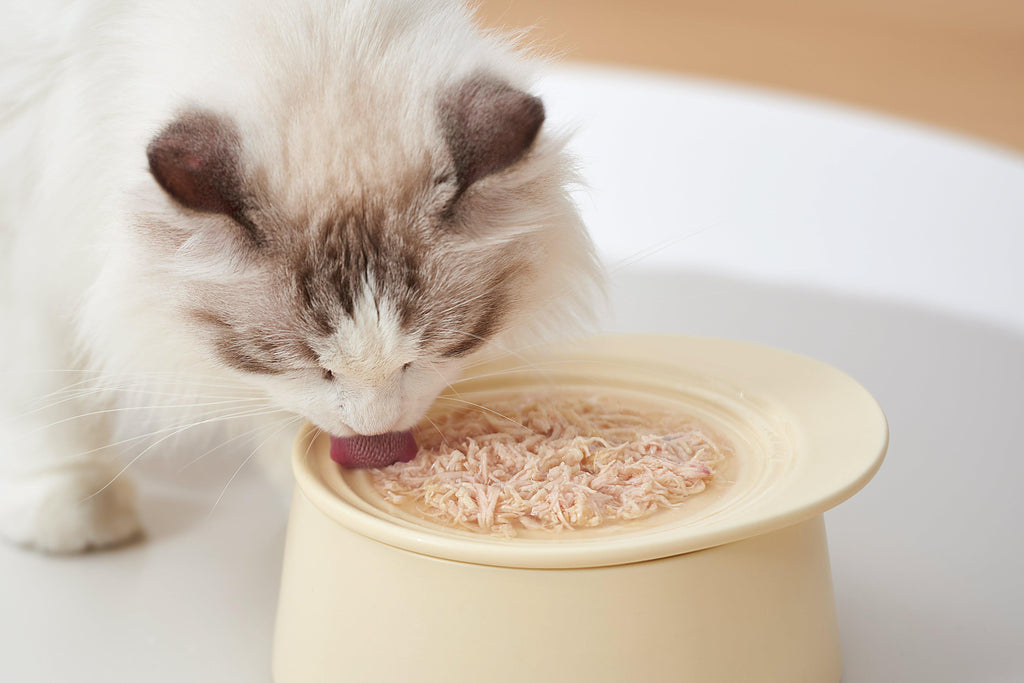 The Ultimate Cat Bowl Selection Guide - Michu Australia