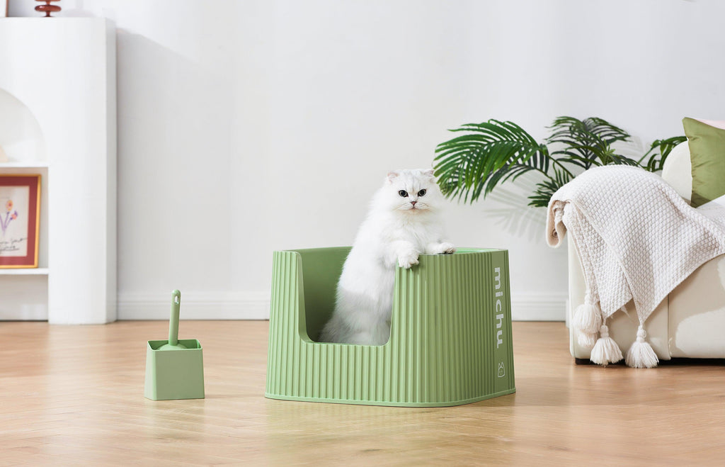 Training Your Cat to Use the Litter Box - Michu Australia