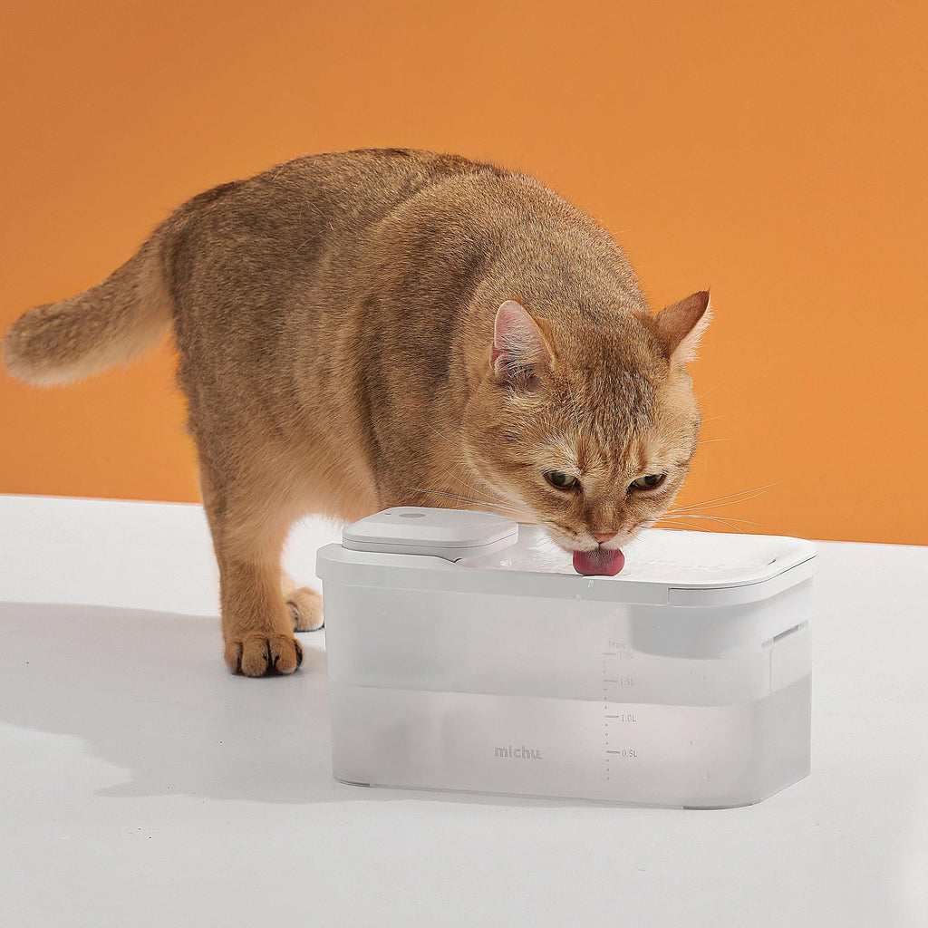 Why Should Your Cat Use a Wireless Water Fountain? - Michu Australia