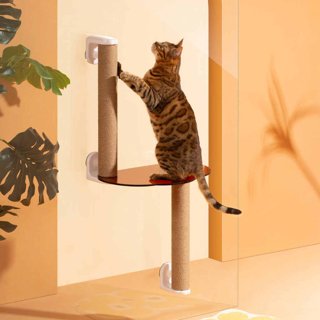 Cat Scratching Posts | Cat Tree & Tower