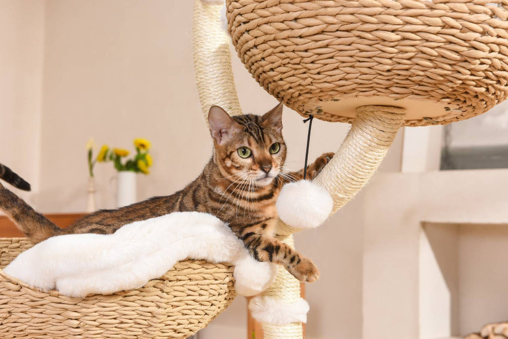 MICHU Ivy Cat Tower Deluxe 4-Tier Designer Tall Cat Tree - Michu Australia-5