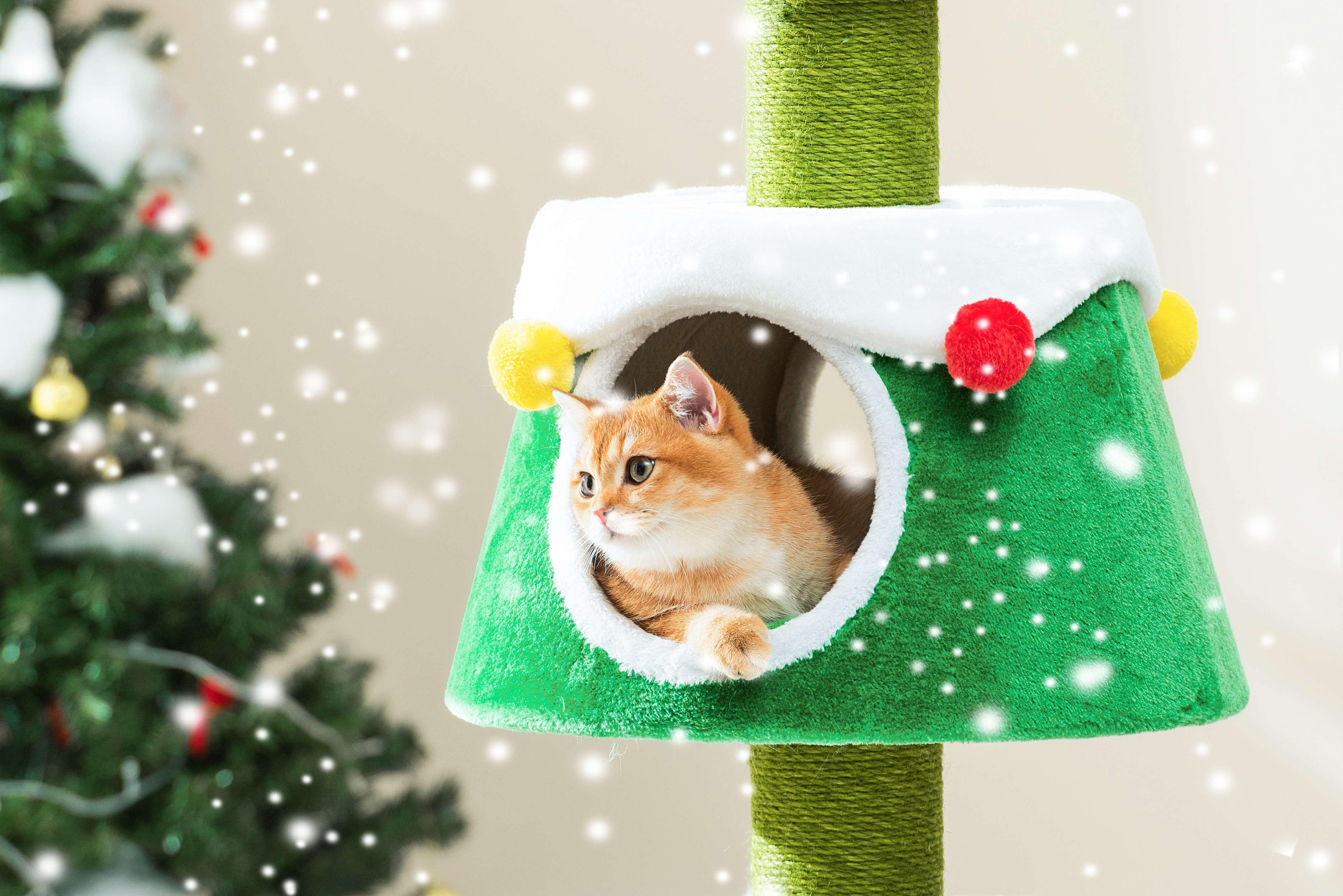 Michu Christmas Cat Tree Festive Fun and Cozy Hideaway for Furry