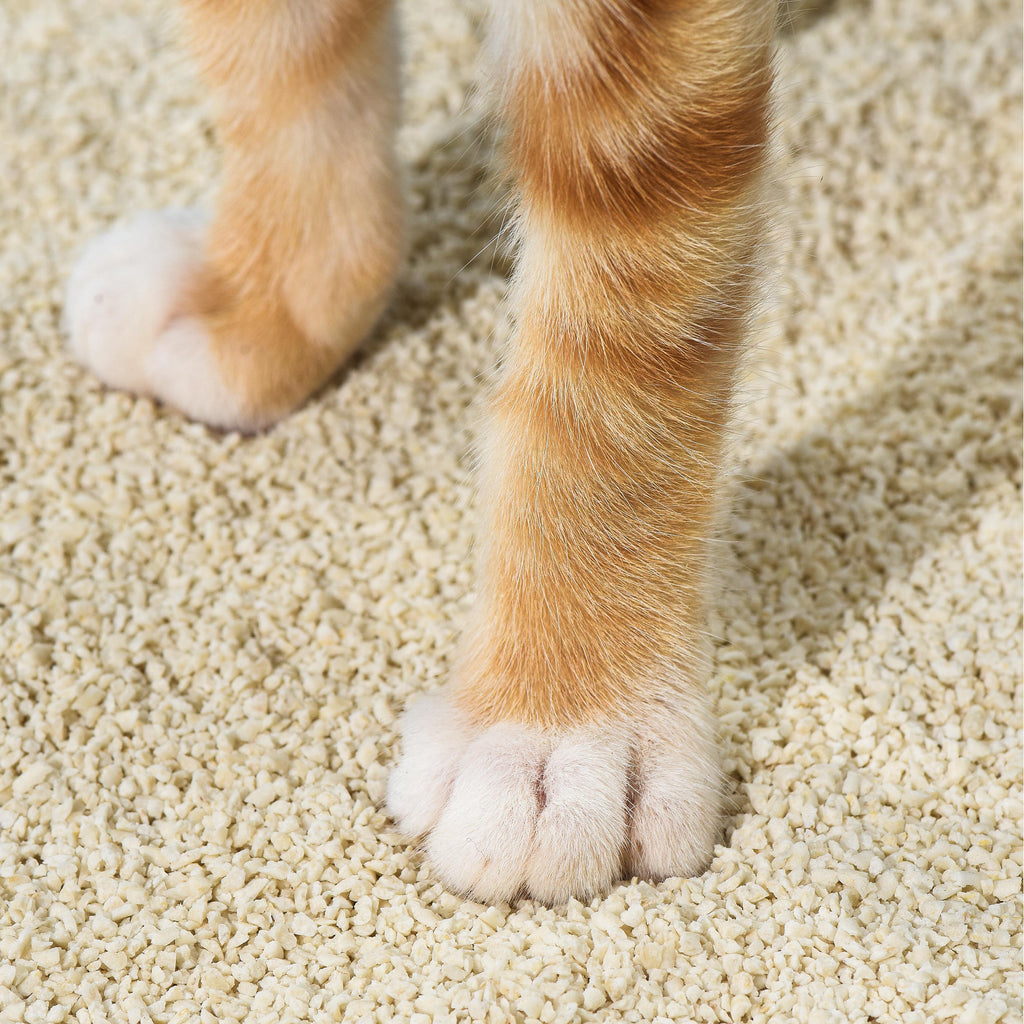 Michu Kitten Litter - Safe, Gentle & Perfect for Small Cats
