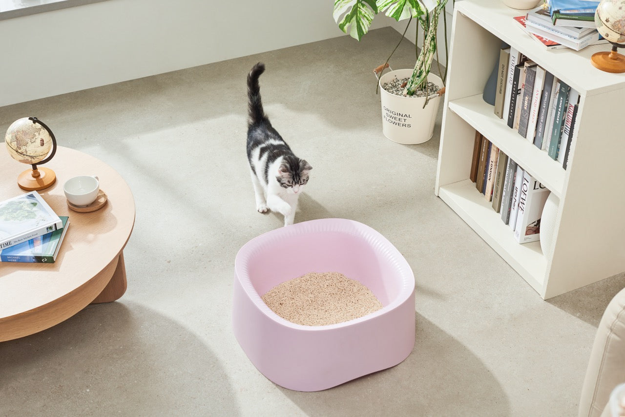 Large cat litter boxes canada shop