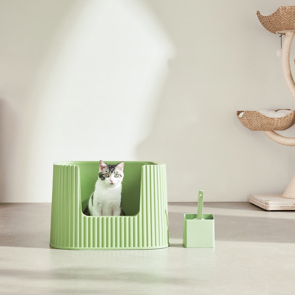 Michu XXL Sage Deluxe Cat Litter Box - Spacious Design