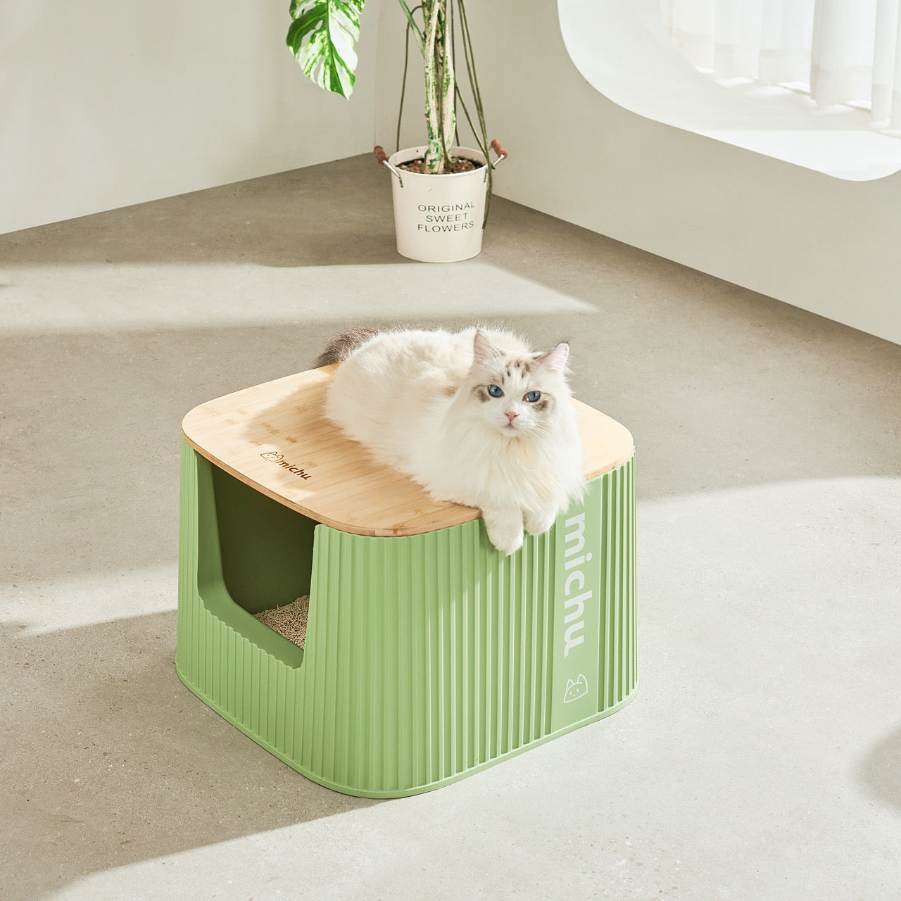 Cute cat litter box best sale