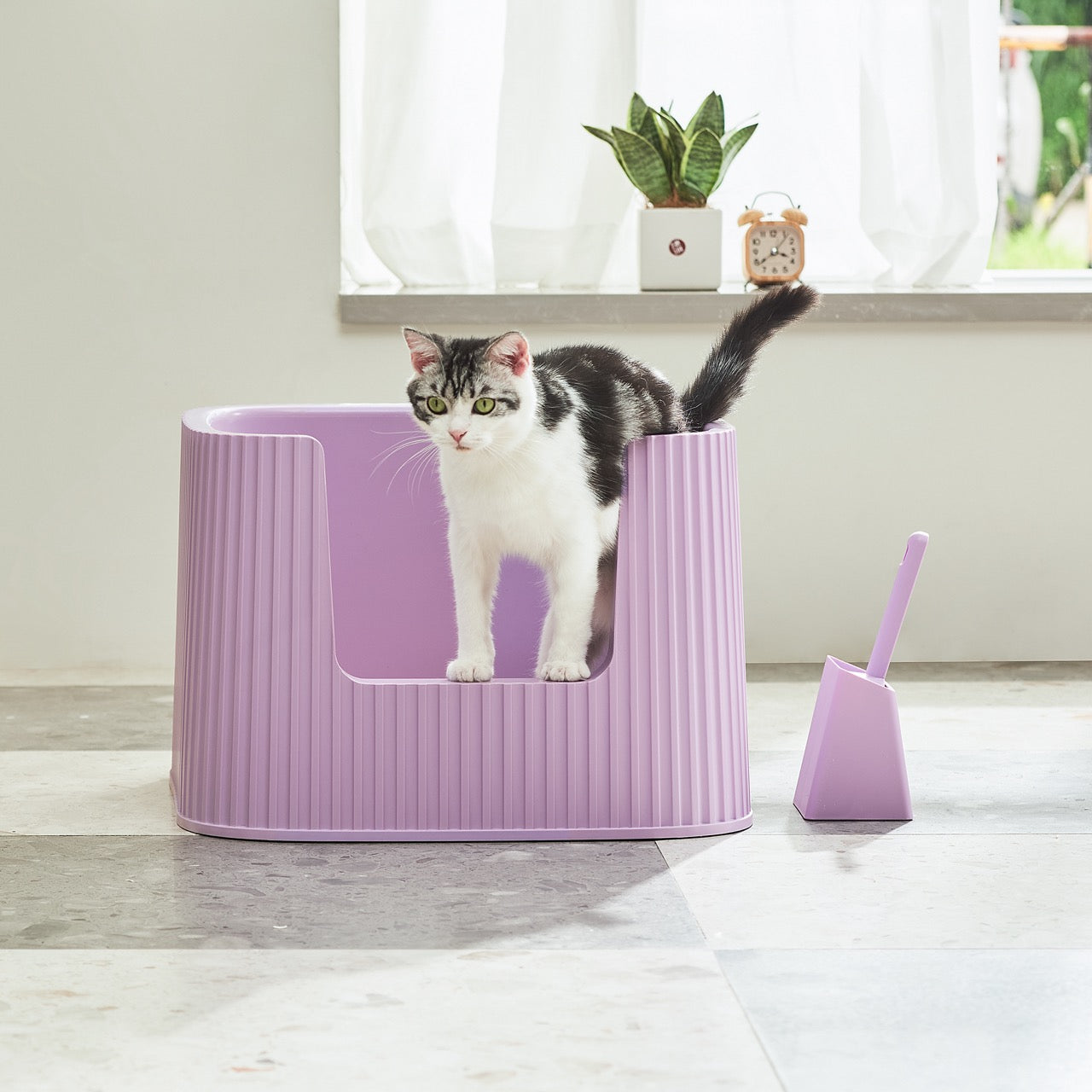 Best kitty litter box australia hot sale