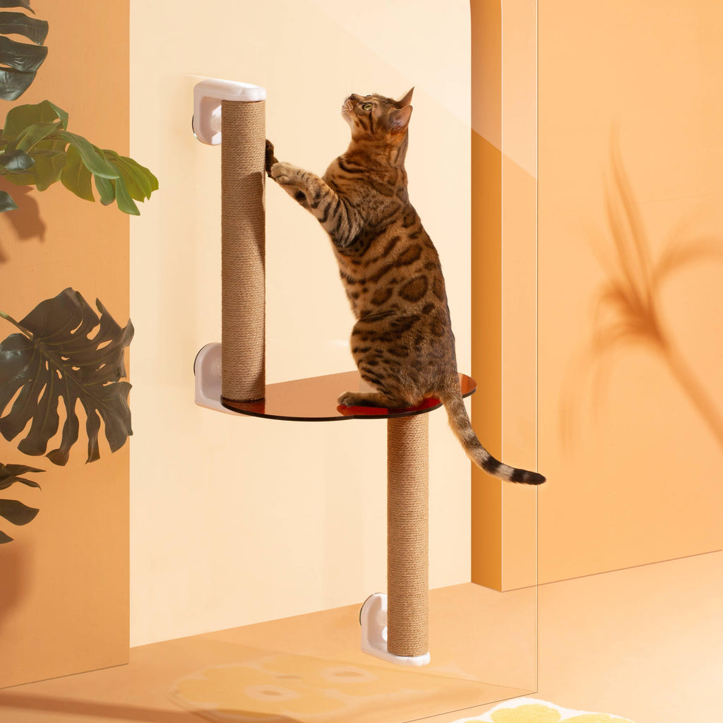 MAYITWILL Mounted Window Cat Tree With Scratchpost, Dangling Toy and Window Perch - Furrytail