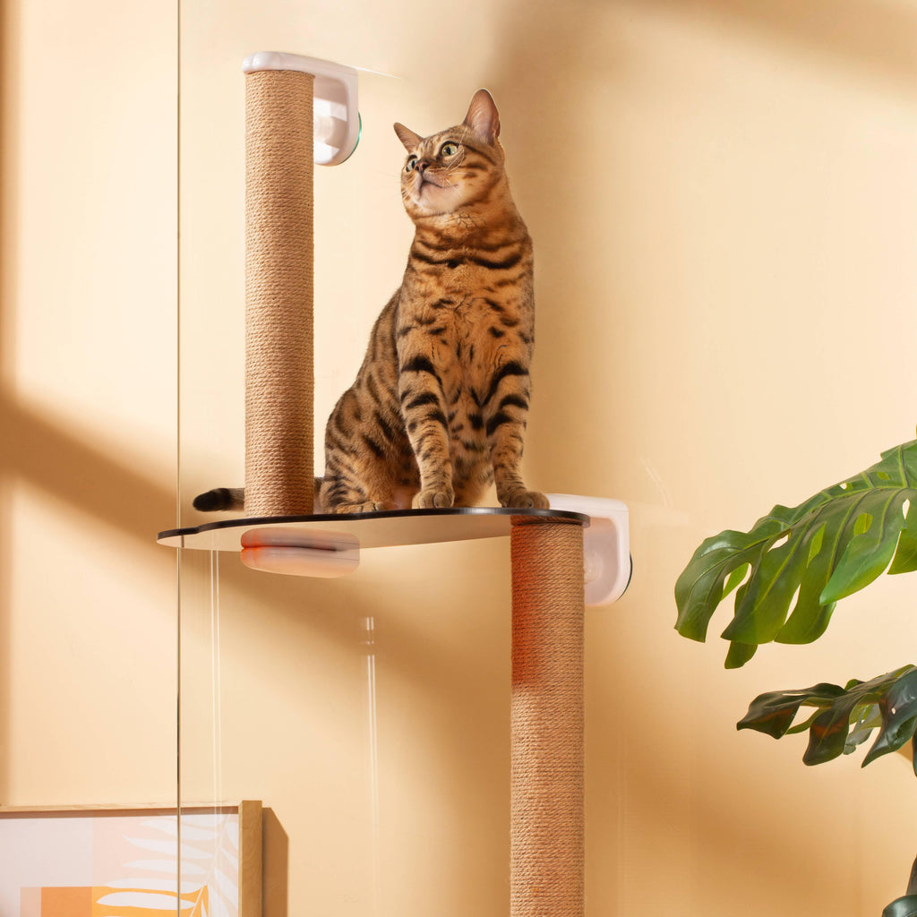 MAYITWILL Mounted Window Cat Tree With Scratchpost, Dangling Toy and Window Perch - Furrytail