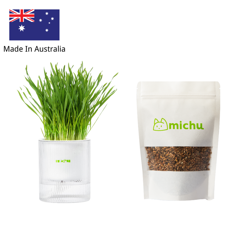 MICHU All-in-One Soil-Free Cat Grass Grow Kit with Australian Seed and Mulch, Made in Australia - Michu Australia