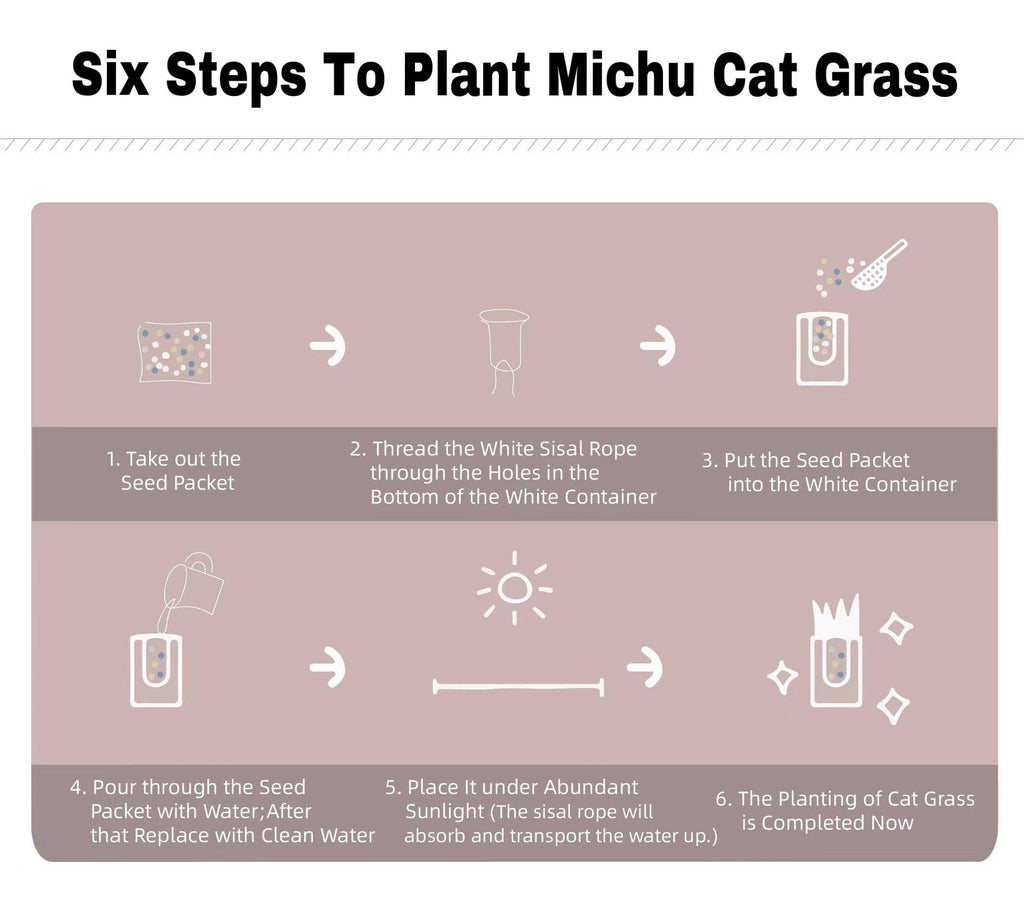 MICHU All-in-One Soil-Free Cat Grass Grow Kit with Australian Seed and Mulch, Made in Australia - Michu Australia