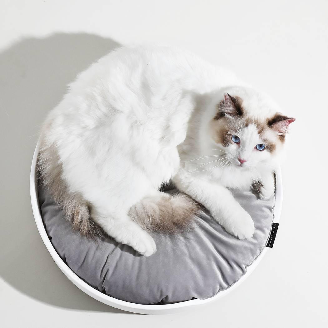 Shop Stylish Cat Beds for Sale in Australia Michu Australia