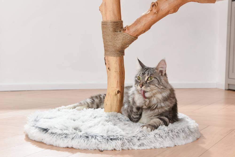 Michu Fluffy Blossom Real Wood Cat Tree - Premium Quality & Stylish Cat Furniture - Extra Large - Michu Australia