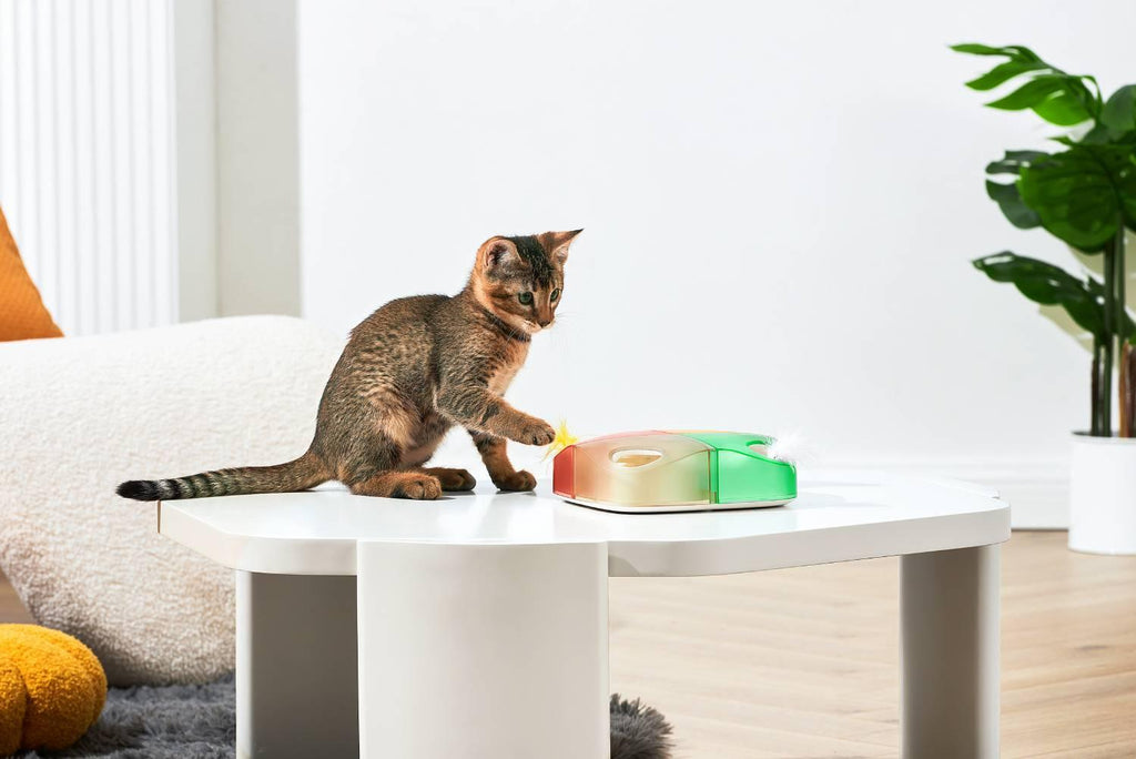 Michu Interactive Feathered Rechargeable Cat Toy Box - The Ultimate Feline Playtime Companion - USD Cable included - Michu Australia