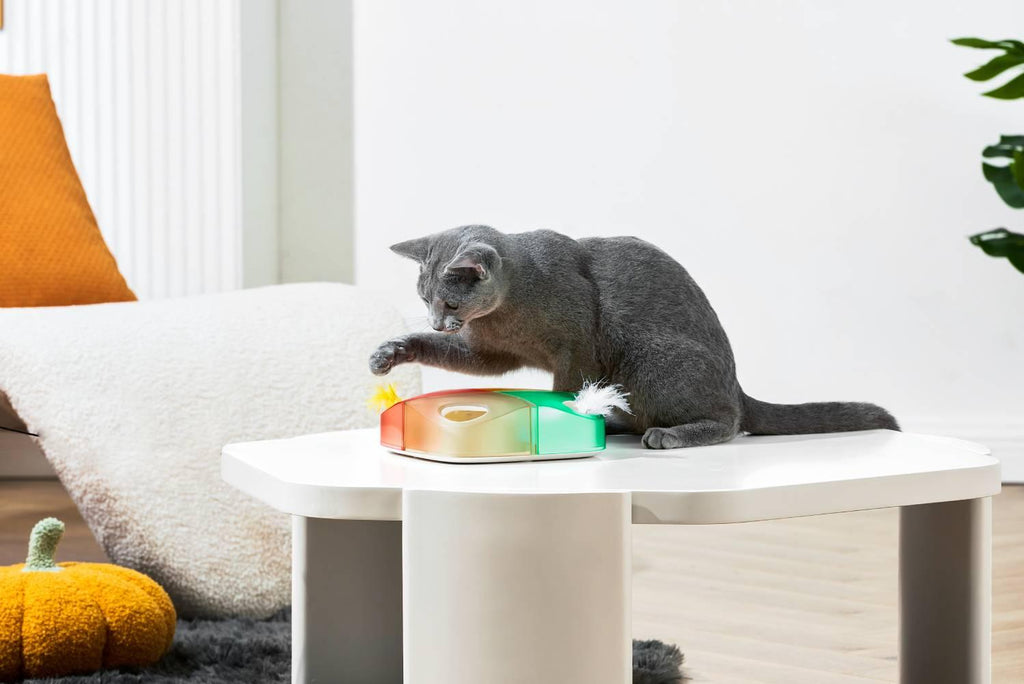 Michu Interactive Feathered Rechargeable Cat Toy Box - The Ultimate Feline Playtime Companion - USD Cable included - Michu Australia