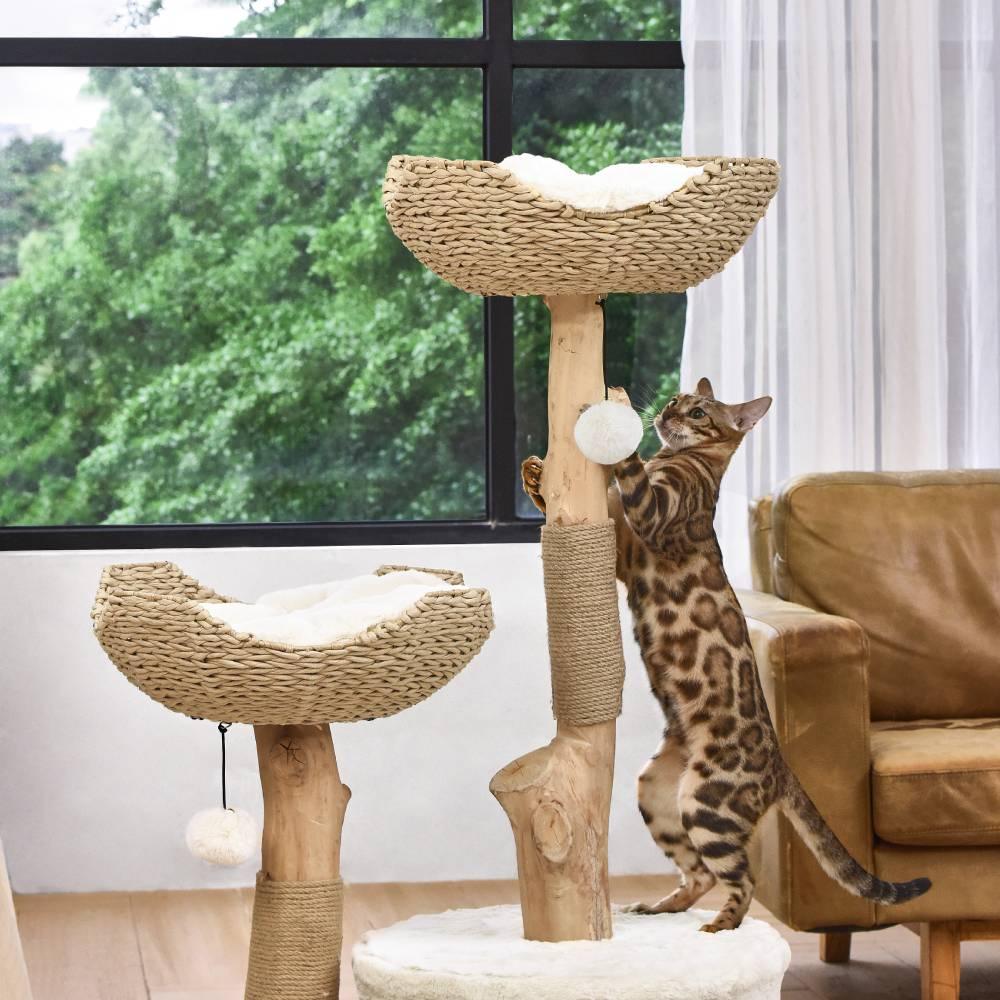 michu-premium-real-wood-cat-tower-large-spacious-australian-feline-haven-michu-australia-2