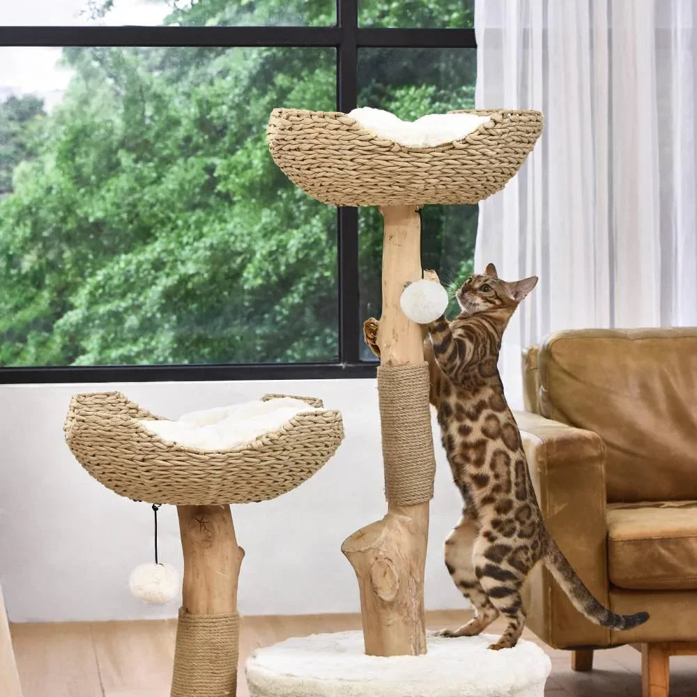 Michu Premium Real Wooden Cat Tree-Large- Spacious Australian