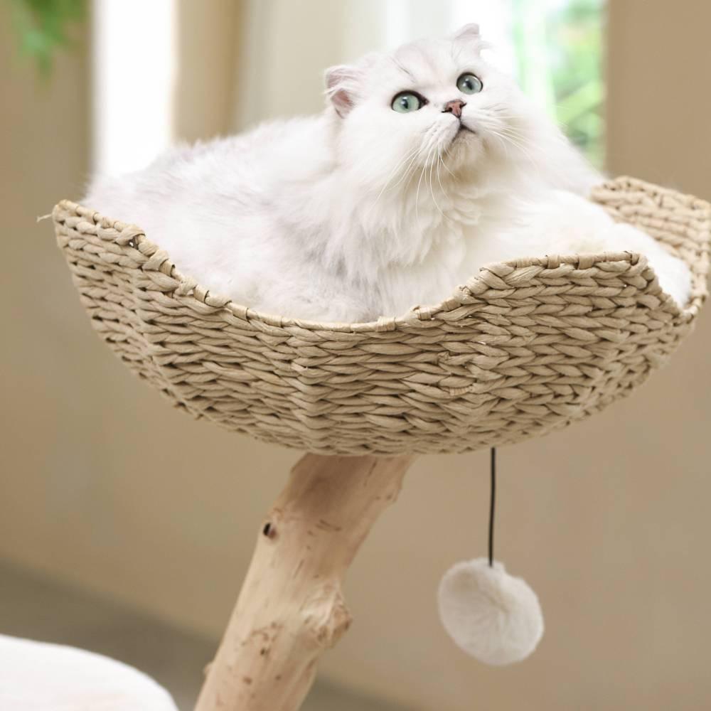 michu-selected-real-wood-cat-tree-medium-the-ultimate-feline-playground-for-aussie-cats-michu-australia-4