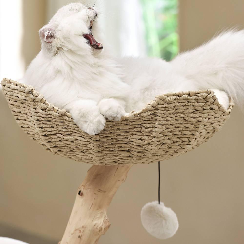 michu-selected-real-wood-cat-tree-medium-the-ultimate-feline-playground-for-aussie-cats-michu-australia-5