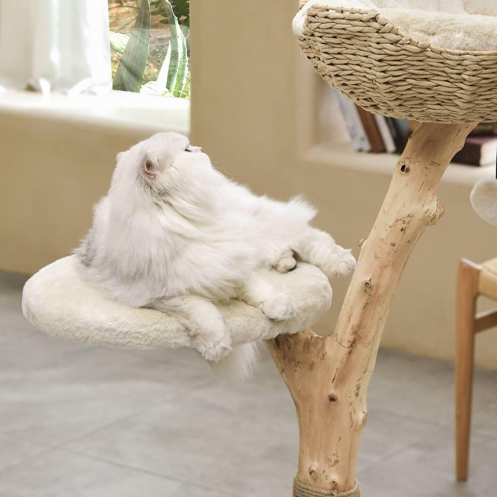 Michu Selected Real Wood Cat Tree, Medium - Furrytail