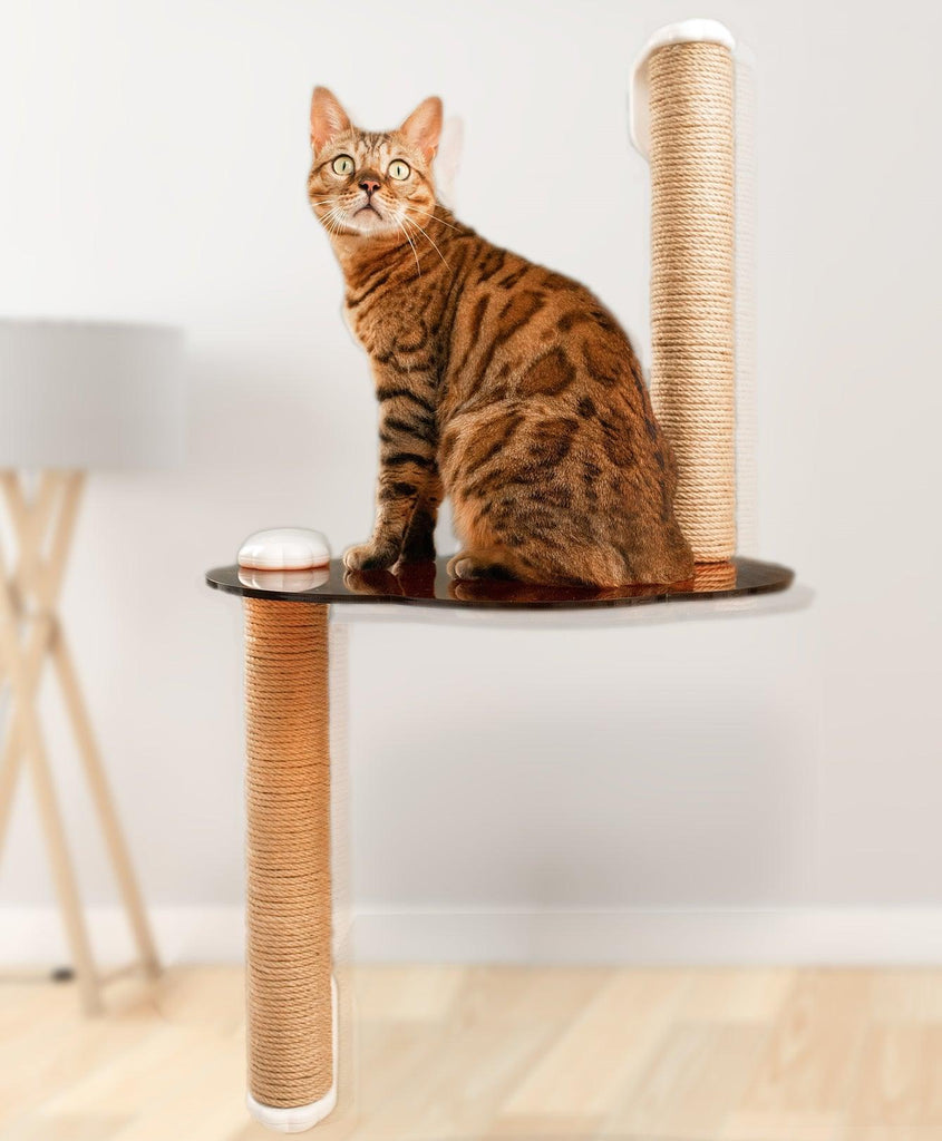 MAYITWILL Mounted Window Cat Tree With Scratchpost, Dangling Toy and Window Perch - Furrytail