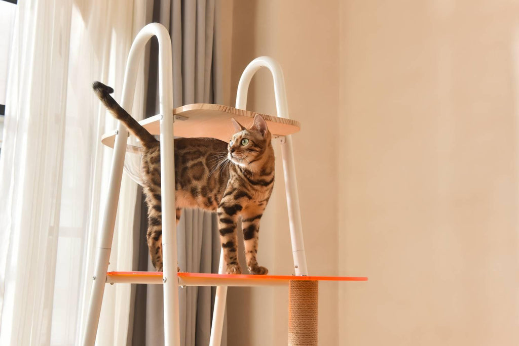 Michu YoYo Tower, The Ultimate Multi-Level, Multi-Functional Cat Furniture with Steel Frame for Dynamic Feline Leaping - Michu Australia