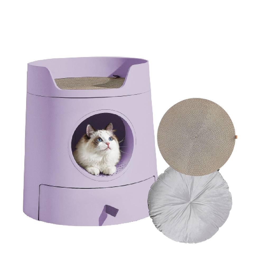 Cat litter shop purple box